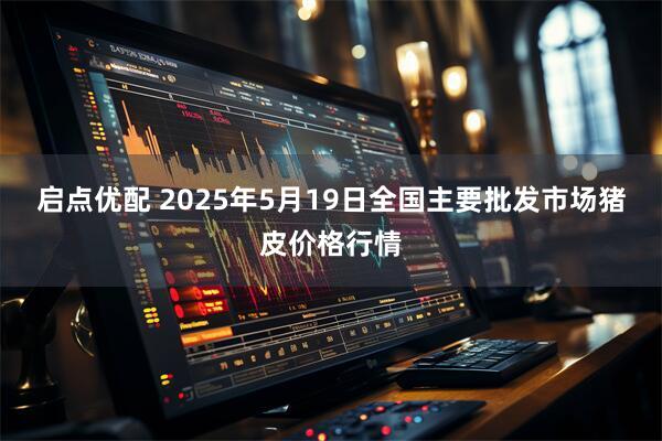 启点优配 2025年5月19日全国主要批发市场猪皮价格行情