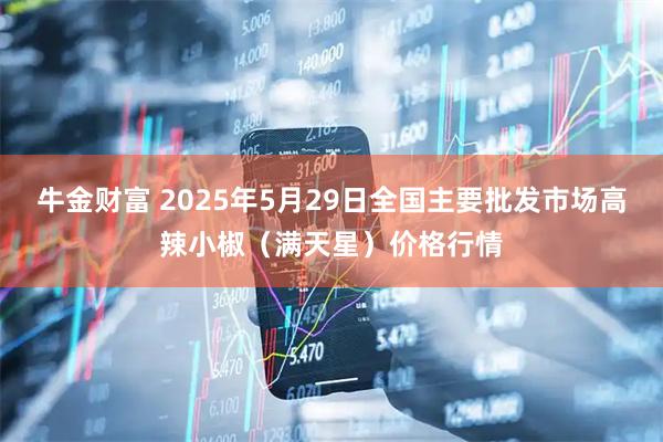 牛金财富 2025年5月29日全国主要批发市场高辣小椒（满天星）价格行情