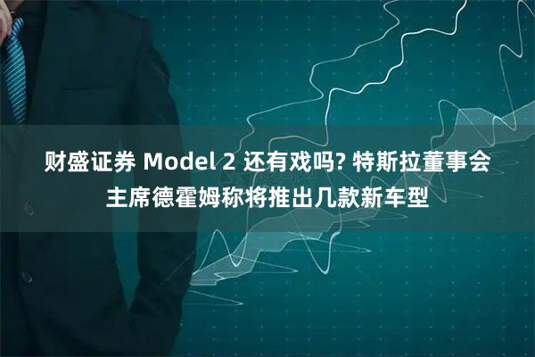 财盛证券 Model 2 还有戏吗? 特斯拉董事会主席德霍姆称将推出几款新车型