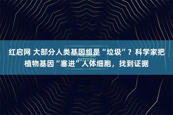 红启网 大部分人类基因组是“垃圾”？科学家把植物基因“塞进”人体细胞，找到证据